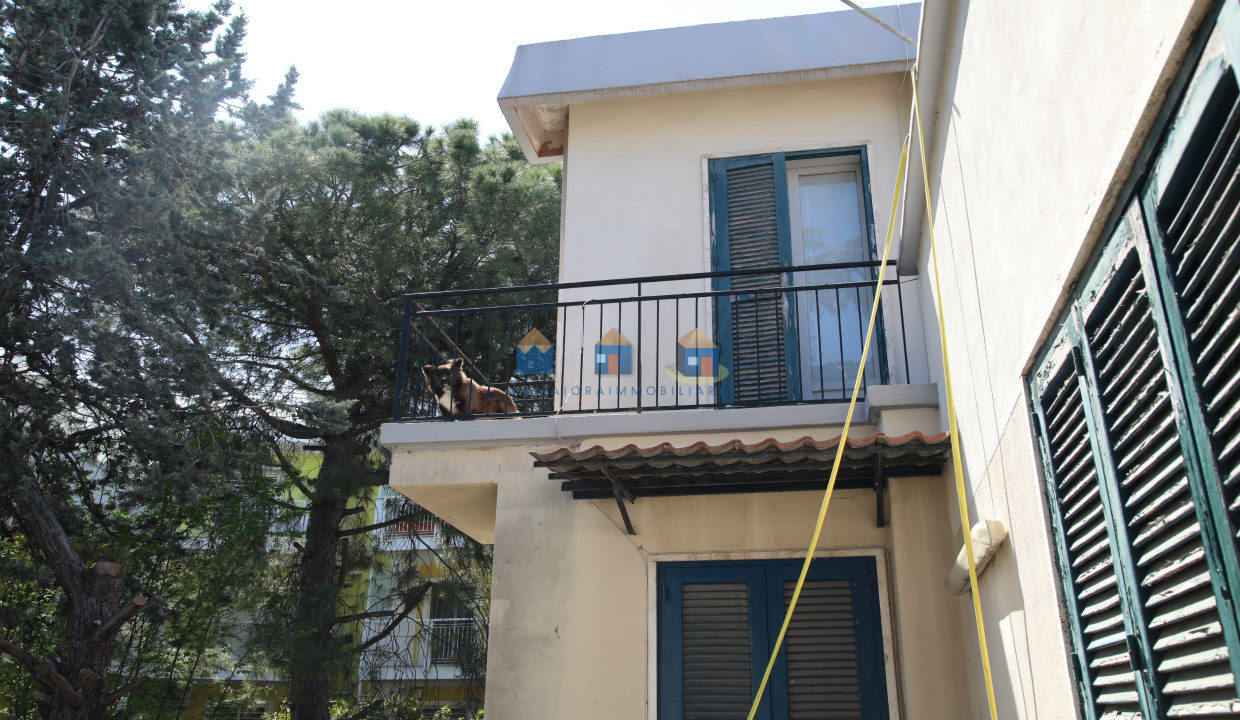 admaioraimmobiliare_soluzioneindipendente7