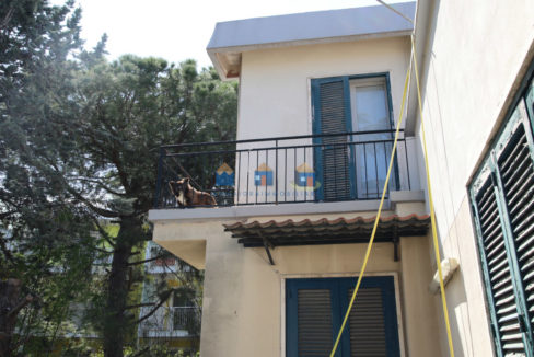admaioraimmobiliare_soluzioneindipendente7