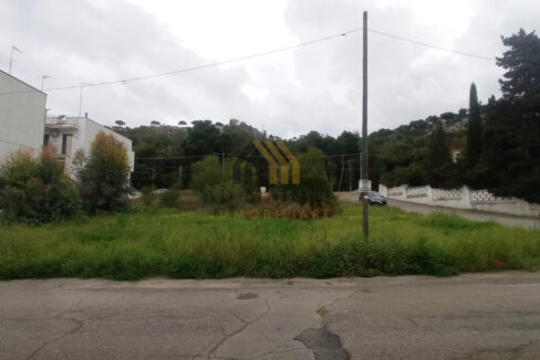 ad_maiora_immobiliare_terreno_edificabile_gallipoli_1